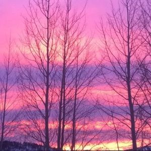 Meet your Posher, Maia